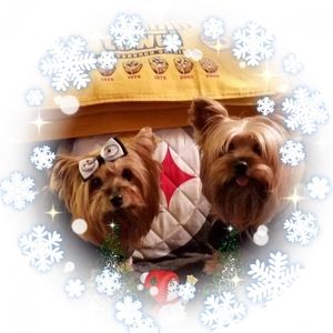 Meet your Posher, Marilyn